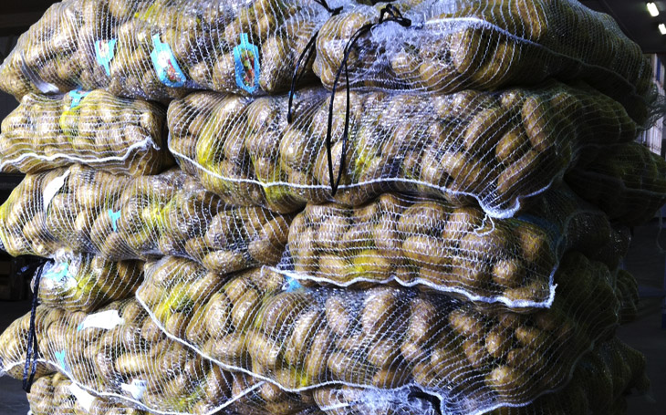dixtiotamekordoni