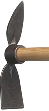 skalistiri kardias