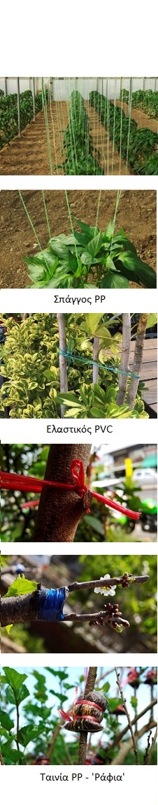 Σπάγγοι